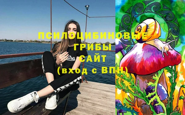 прущая мука Абаза