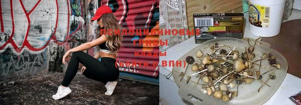 прущая мука Абаза