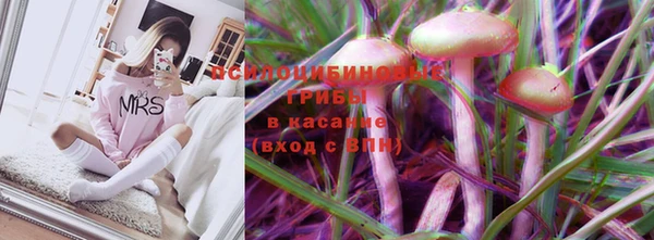 меф Нягань