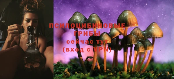 прущая мука Абаза