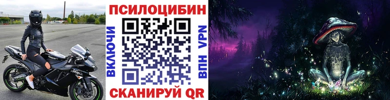 Псилоцибиновые грибы Psilocybe  закладка  нарко площадка состав  Советская Гавань 